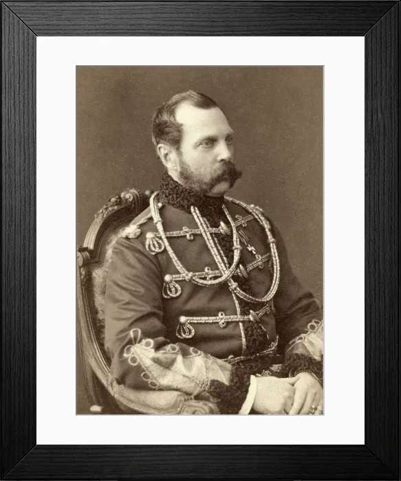 Framed Print : Tsar Alexander II (1818-1881), Emperor of Russia, was assassinated by a bomb planted by the People's Will, a radical political group Framed Print : Tsar Alexander II (1818-1881), Emperor of Russia, was assassinated by a bomb planted by the People's Will, a radical political group
