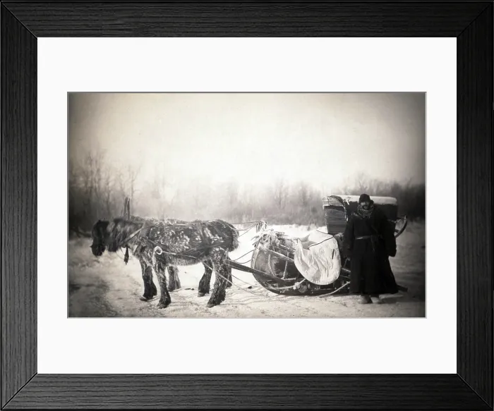 Framed Print : George Kennan (1845-1924), American writer, in furs next to a Siberian posting sledge on a cold morning