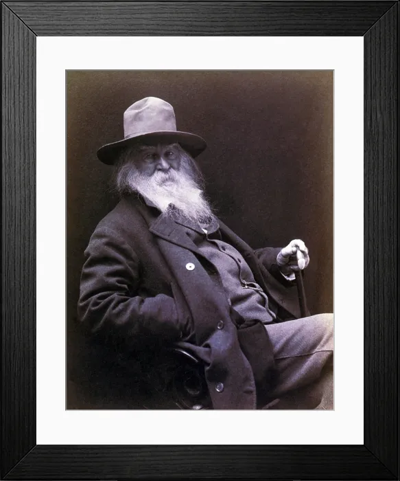 Framed Print : Walt Whitman (1819-1892) American poet, author, and journalist in 1877 portrait Framed Print : Walt Whitman (1819-1892) American poet, author, and journalist in 1877 portrait
