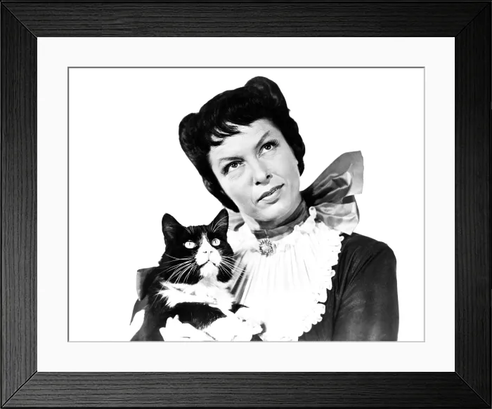Framed Print : THE BLUE BIRD, Gale Sondergaard, 1940, TM & Copyright 20th Century Fox Film Corp. / courtesy Everett Collection