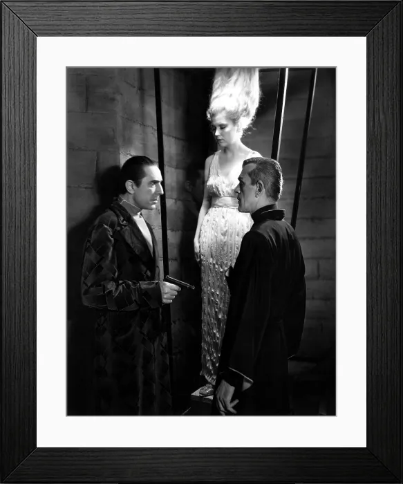 Framed Print : THE BLACK CAT, Bela Lugosi, Boris Karloff, 1934, suspended animation