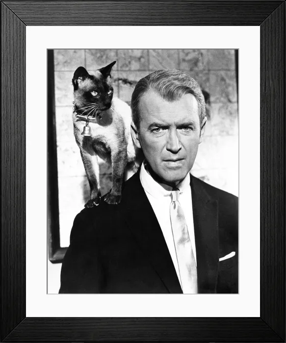 Framed Print : BELL, BOOK AND CANDLE, James Stewart, 1958 Framed Print : BELL, BOOK AND CANDLE, James Stewart, 1958