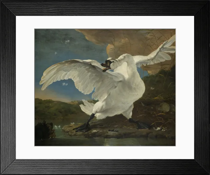Framed Print : The Threatened Swan, by Jan Asselijn, c. 1650, Dutch painting, oil on canvas. A swan fiercely defends its nest against a dog