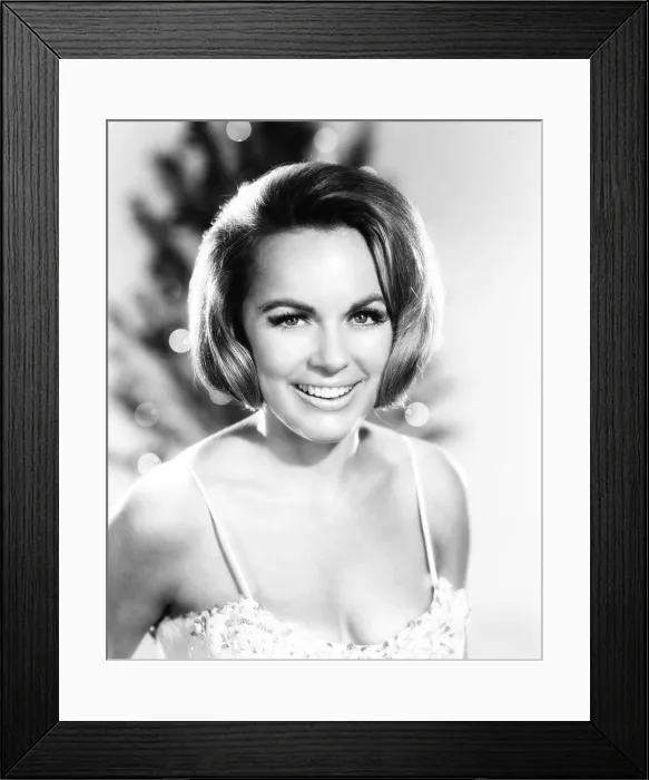 Framed Print : BLACK SPURS, Terry Moore, 1965
