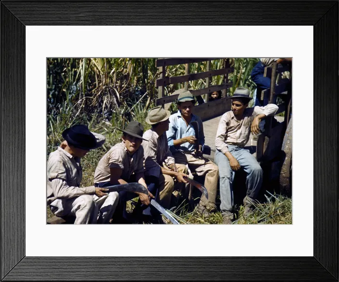 Framed Print : Puerto Rico. Sugar cane workers resting at the noon hour, Rio Piedras, Puerto Rico. Photograph by Jack Delano, 1941