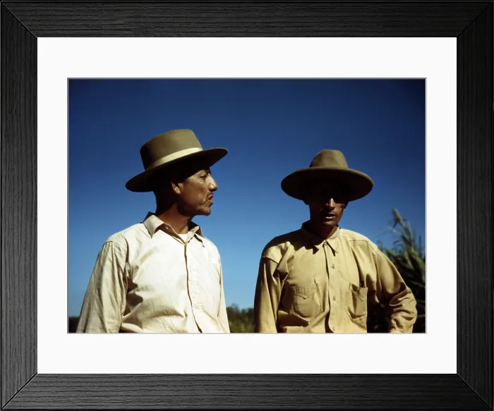 Framed Print : Puerto Rico. Sugar cane workers, vicinity of Rio Piedras, Puerto Rico. Photograph by Jack Delano, 1941 Framed Print : Puerto Rico. Sugar cane workers, vicinity of Rio Piedras, Puerto Rico. Photograph by Jack Delano, 1941