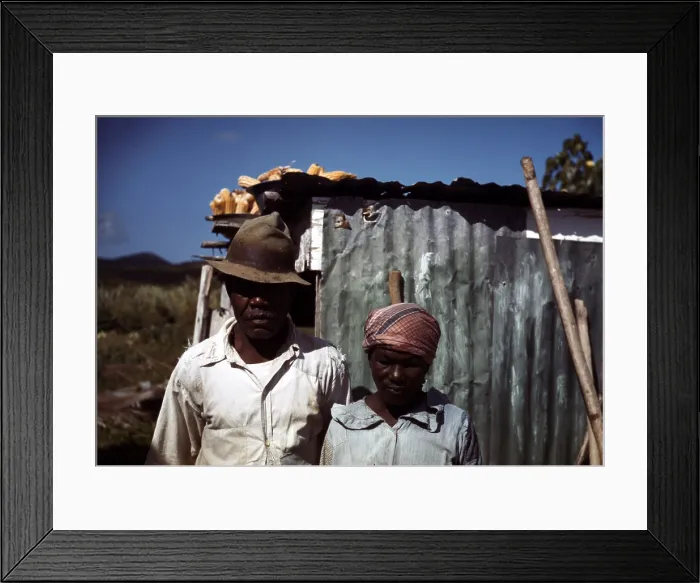 Framed Print : Puerto Rico. Tenant farmers by their house, Puerto Rico. Photograph by Jack Delano, 1941 Framed Print : Puerto Rico. Tenant farmers by their house, Puerto Rico. Photograph by Jack Delano, 1941