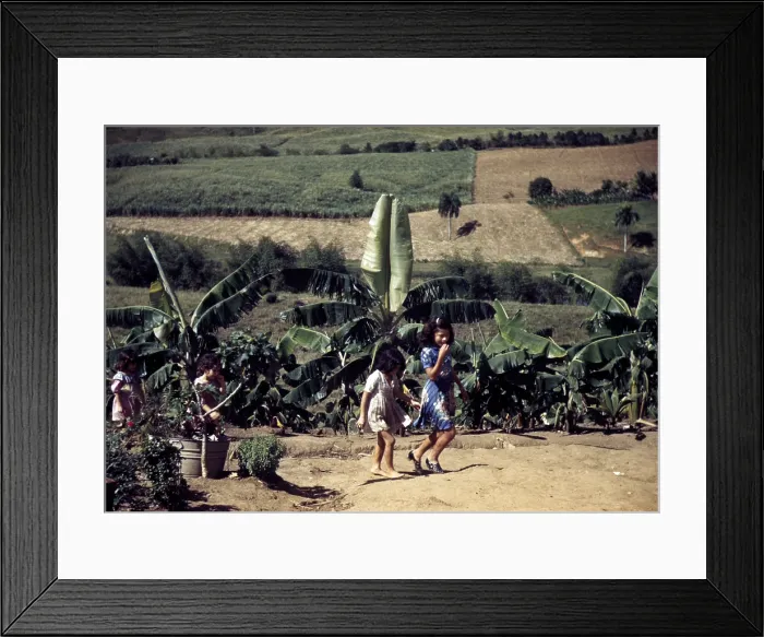 Framed Print : Puerto Rico. Children of tenant farmers, Puerto Rico. Photograph by Jack Delano, 1941