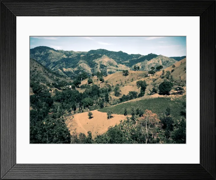 Framed Print : Puerto Rico. Forest and clear cut fields, vicinity of Corozal, Puerto Rico. Photograph by Jack Delano, 1941 Framed Print : Puerto Rico. Forest and clear cut fields, vicinity of Corozal, Puerto Rico. Photograph by Jack Delano, 1941