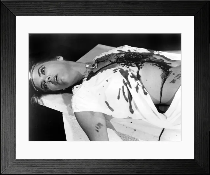 Framed Print : BLOOD FEAST, Louise Kamp, 1963
