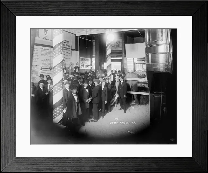 Framed Print : The Acorn Wax Museum, New York, photograph circa 1900s-1920s