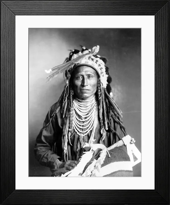 Framed Print : Heebe-tee-tse of the Shoshone Nation. Ca 1899 Framed Print : Heebe-tee-tse of the Shoshone Nation. Ca 1899