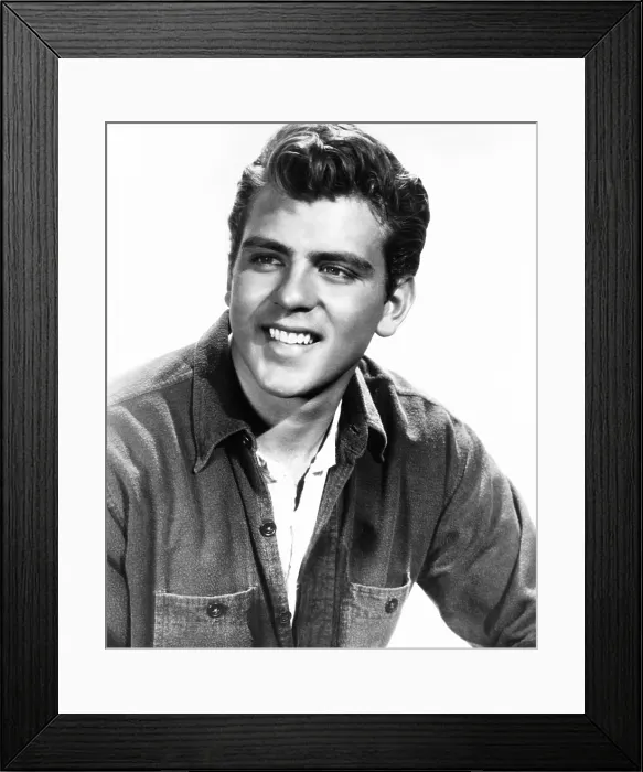 Framed Print : NORTH TO ALASKA, Fabian, 1960, TM & Copyright 20th Century Fox Film Corp. / courtesy Everett Collection Framed Print : NORTH TO ALASKA, Fabian, 1960, TM & Copyright 20th Century Fox Film Corp. / courtesy Everett Collection