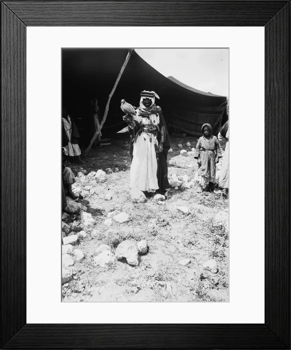 Framed Print : Bedouin hunter with his falcon, Jerusalem, photograph by American Colony Photo Department, circa 1898-1946 Framed Print : Bedouin hunter with his falcon, Jerusalem, photograph by American Colony Photo Department, circa 1898-1946