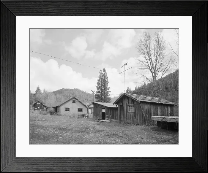 Framed Print : Taxidermy Shop, Liberty Historic District, Route 2, Cle Elum, Liberty, Kittitas County, Washington, photograph, circa 1930s Framed Print : Taxidermy Shop, Liberty Historic District, Route 2, Cle Elum, Liberty, Kittitas County, Washington, photograph, circa 1930s