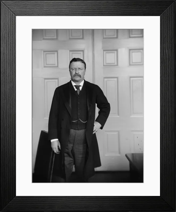 Framed Print : President Theodore Roosevelt, standing portrait, 3 / 4 figure, ca. 1905