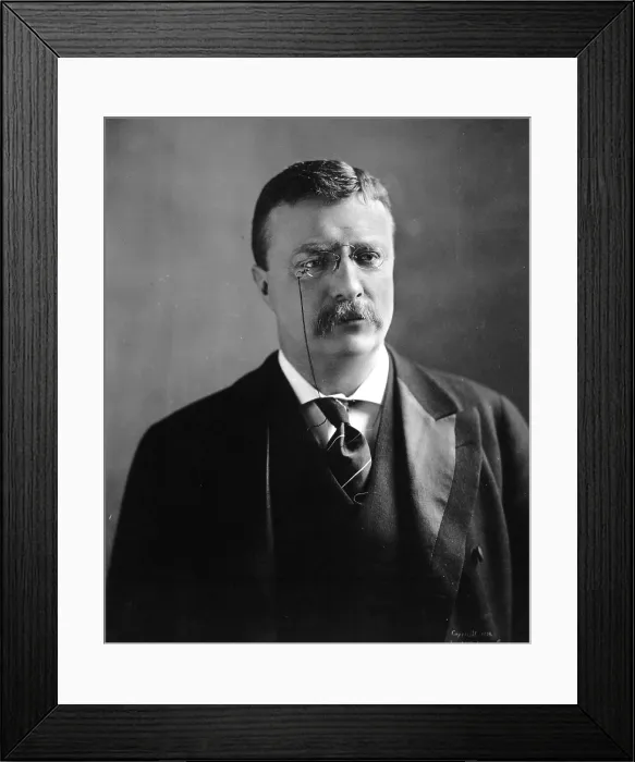 Framed Print : Theodore Roosevelt, 1902 bust portrait, with unusual soft and reflective expression