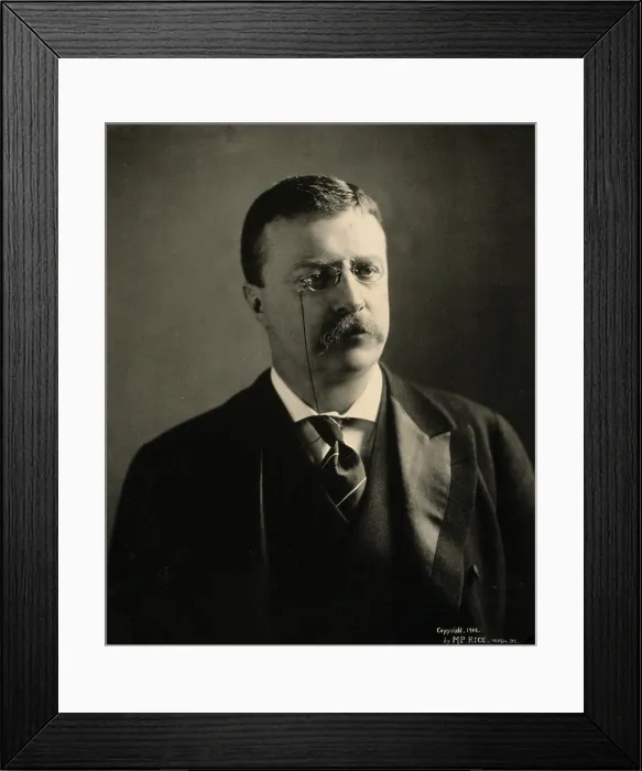 Framed Print : Theodore Roosevelt in 1902, shortly after he ascended to the Presidency after the assassination of President William McKinley Framed Print : Theodore Roosevelt in 1902, shortly after he ascended to the Presidency after the assassination of President William McKinley