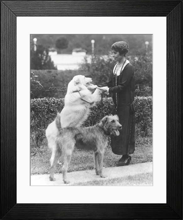 Framed Print : First Lady Grace Coolidge (1879-1957), picture here on the White House lawn with pet dogs, as she resumed her public functions within months after the death of her youngest son