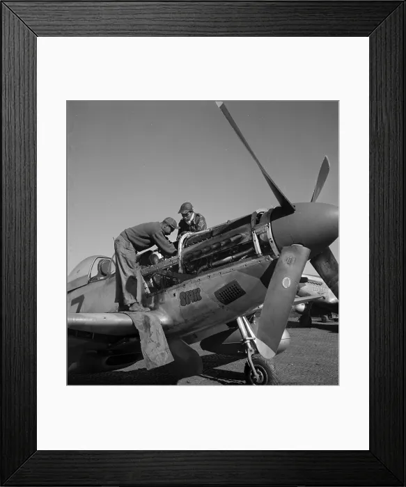 Framed Print : Tuskegee airmen Marcellus G. Smith, Roscoe C. Brown, photo by Toni Frissell, Ramitelli, Italy, March 1945 Framed Print : Tuskegee airmen Marcellus G. Smith, Roscoe C. Brown, photo by Toni Frissell, Ramitelli, Italy, March 1945