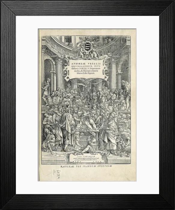 Framed Print : Vesalius, Andreas (1514-1564). 'De Humanis Corporis Fabrica'. First edition of the work executed in Basel in 1543. Etching. FRANCE. Paris. National Library Framed Print : Vesalius, Andreas (1514-1564). 'De Humanis Corporis Fabrica'. First edition of the work executed in Basel in 1543. Etching. FRANCE. Paris. National Library