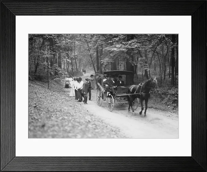 Framed Print : Invited guests on way to Roosevelt House, on foot and in carriage take the road to Sagamore Hill, the Oyster Bay home of Theodore Roosevelt in 1908 Framed Print : Invited guests on way to Roosevelt House, on foot and in carriage take the road to Sagamore Hill, the Oyster Bay home of Theodore Roosevelt in 1908