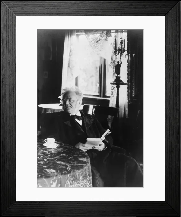 Framed Print : Bjrnstierne Bjrnson (1932-1910), Norwegian writer, was awarded the 1903 Nobel Prize for Literature. 1890 Framed Print : Bjrnstierne Bjrnson (1932-1910), Norwegian writer, was awarded the 1903 Nobel Prize for Literature. 1890