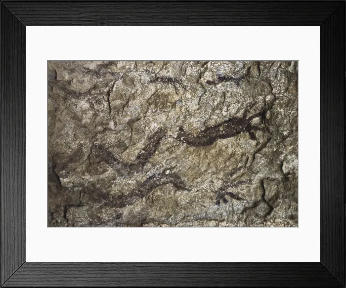 Framed Print : Vall de Gallinera. Gully of Benial. Levantine macroschematic art (7000 BC.). Neolithic art. Cave. AISA / Everett Collection (100568)**US SALES ONLY**