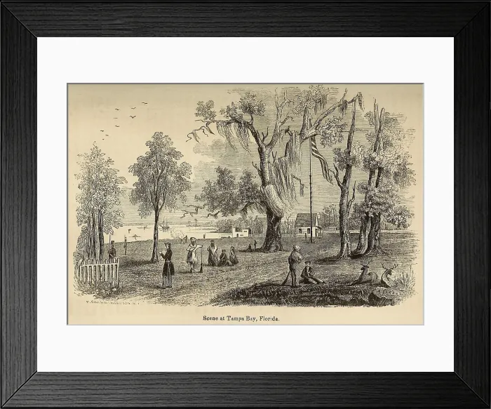 Framed Print : Scene at Tampa Bay Florida after it was ceded to the United States by the 1819 Adams-Ons Treaty with Spain