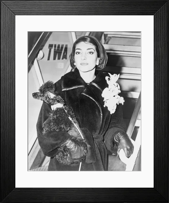 Framed Print : Maria Callas (1923-1977), holding a pet poodle arrives at New York's Idlewild (now JFK) Airport in 1958