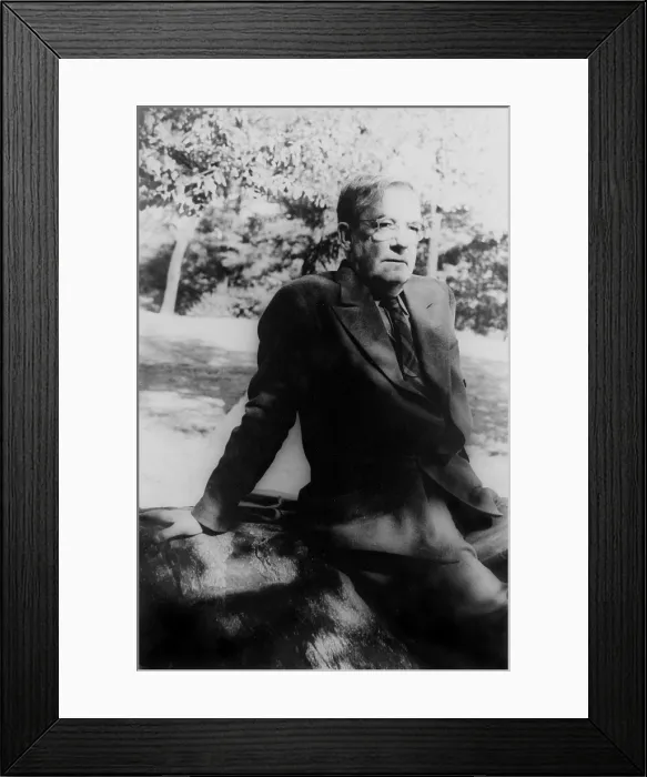 Framed Print : Sherwood Anderson (1876-1941) American writer of short story of great influence in the 1920's and 1930's. 1939 portrait