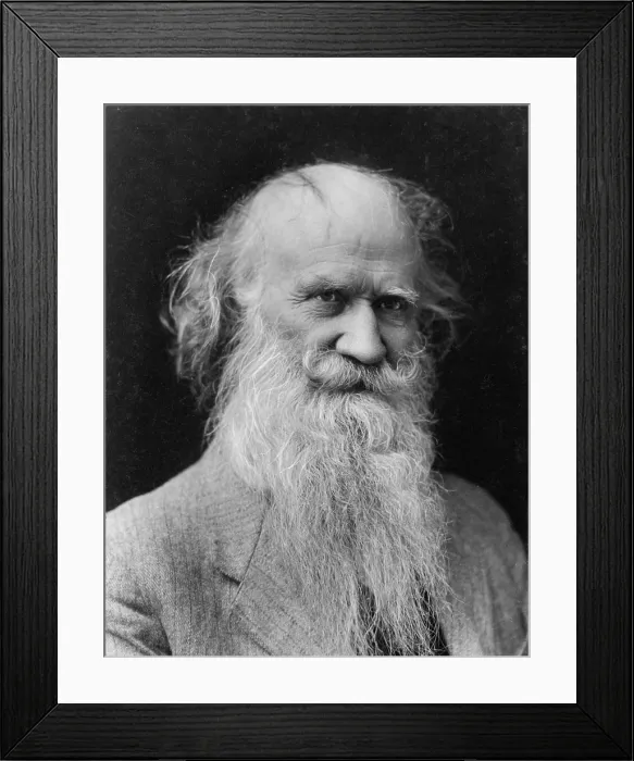 Framed Print : Joaquin Miller (1837-1913) (born Cincinnatus Hiner Miller), flamboyant poet and journalist, of unsophisticated but popular works. Ca. 1906 Framed Print : Joaquin Miller (1837-1913) (born Cincinnatus Hiner Miller), flamboyant poet and journalist, of unsophisticated but popular works. Ca. 1906