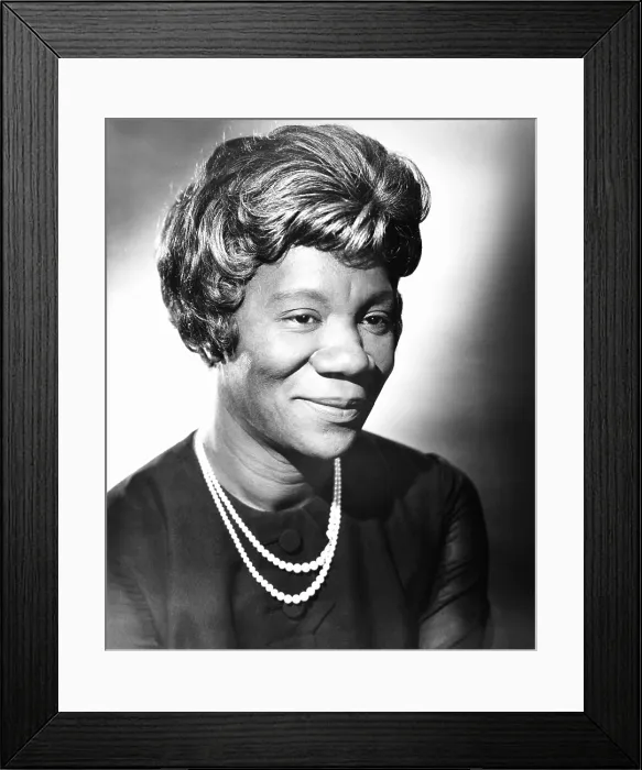Framed Print : GUESS WHO'S COMING TO DINNER, Beah Richards, 1967