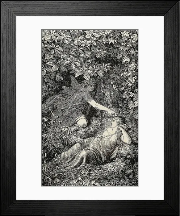 Framed Print : SHAKESPEARE, William (1564-1616). Illustration for William Shakespeare's work 'A Midsummer Night's Dream', written in 1594. Scene with Oberon and Titania Framed Print : SHAKESPEARE, William (1564-1616). Illustration for William Shakespeare's work 'A Midsummer Night's Dream', written in 1594. Scene with Oberon and Titania