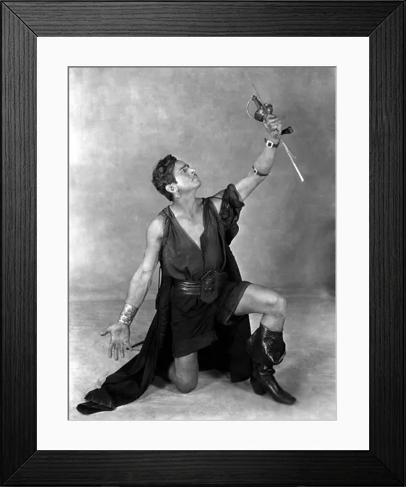 Framed Print : THE BLACK PIRATE, Douglas Fairbanks, Sr. 1926