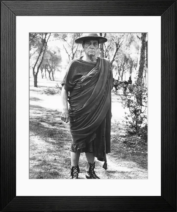 Framed Print : A FUNNY THING HAPPENED ON THE WAY TO THE FORUM, Buster Keaton, 1966 Framed Print : A FUNNY THING HAPPENED ON THE WAY TO THE FORUM, Buster Keaton, 1966