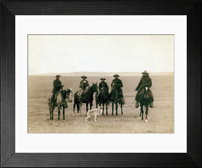 Framed Print : Wild West. 'Roping gray wolf, ' Cowboys take in a gray wolf on 'Round up, ' in Wyoming, photo by John C. Grabill, 1887