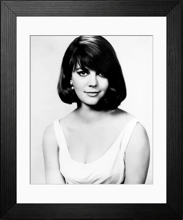 Framed Print : SEX AND THE SINGLE GIRL, Natalie Wood, 1964