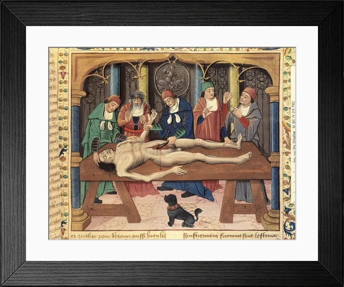 Framed Print : Livre des Propits de les Choses (Liber de proprietatibus rerum), by the Franciscan Bartholomeus Anglicus or Barthlemy l'Anglais