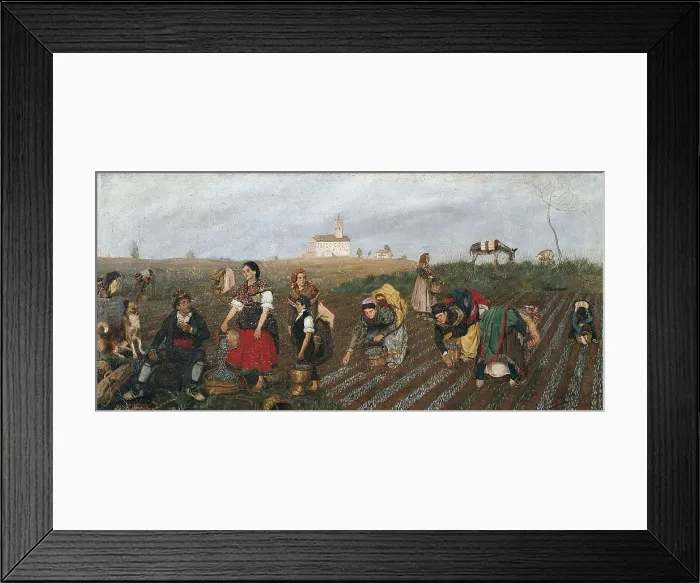 Framed Print : BRU ALBIAA, Jos (19th century). The Harvest of Saffron. 1877. Oil on canvas. SPAIN. Valencia. San Pio V Fine Arts Museum. AISA / Everett Collection**US SALES ONLY**