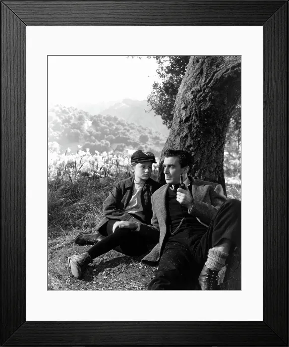 Framed Print : HOW GREEN WAS MY VALLEY, Roddy McDowall, Walter Pidgeon, 1941. TM and Copyright (c) 20th Century Fox Film Corp. All rights reserved. Courtesy: Everett Collection
