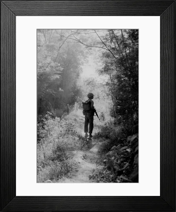 Framed Print : Vietnam War. A US Marine walking point for his unit, moves slowly, cautious of enemy pitfalls Framed Print : Vietnam War. A US Marine walking point for his unit, moves slowly, cautious of enemy pitfalls