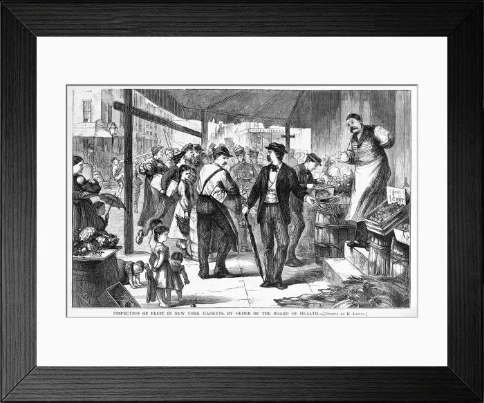 Framed Print : Decayed Fruit. Inspection of fruit in New York markets, by order of the Board of Health. Woodcut, Sept. 13, 1873 Framed Print : Decayed Fruit. Inspection of fruit in New York markets, by order of the Board of Health. Woodcut, Sept. 13, 1873