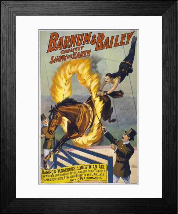 Framed Print : Daring and dangerous equestrian act- a horse jumps through a flaming hoop in the Barnum & Bailey circus. chromolithograph ca. 1900
