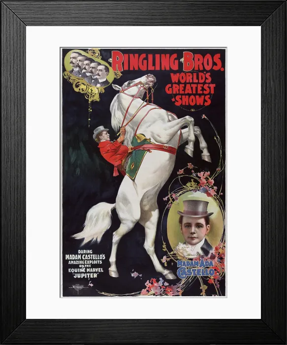 Framed Print : Madam Ada Castello, equestrian performer in the Barnum & Bailey circus. chromolithograph ca. 1900