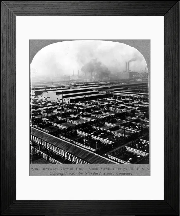 Framed Print : Union Stock Yards, Chicago, Ill. Stereocard, ca. 1906