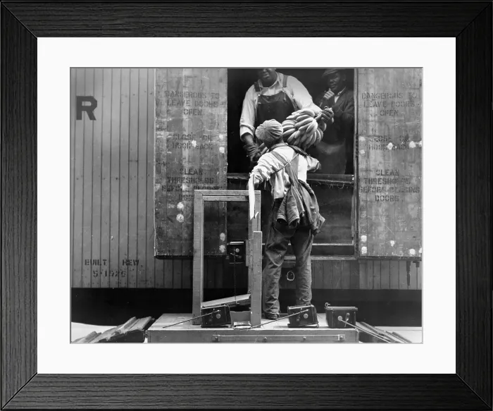 Framed Print : African American men loading bananas, titled: Loading bananas, Mobile, Alabama, photograph by Arthur Rothstein, 1937 Framed Print : African American men loading bananas, titled: Loading bananas, Mobile, Alabama, photograph by Arthur Rothstein, 1937