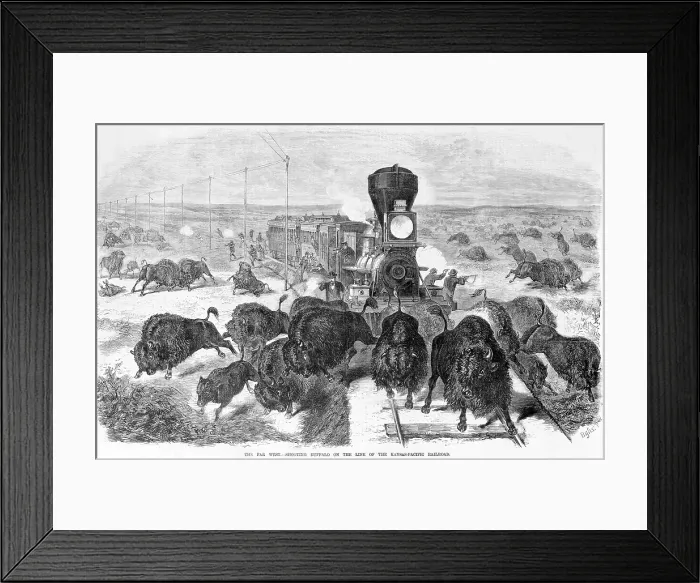 Framed Print : Hunters shooting at a herd of bison from a train and along the tracks, the far west - shooting buffalo on the line of the Kansas-Pacific Railroad, wood engraving, 1871