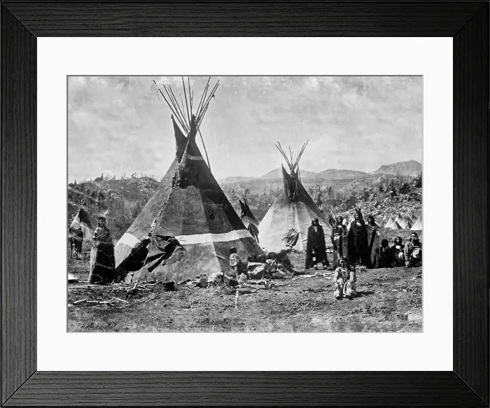 Framed Print : Skin tepees, Shoshone Indians. ca. 1880-1910