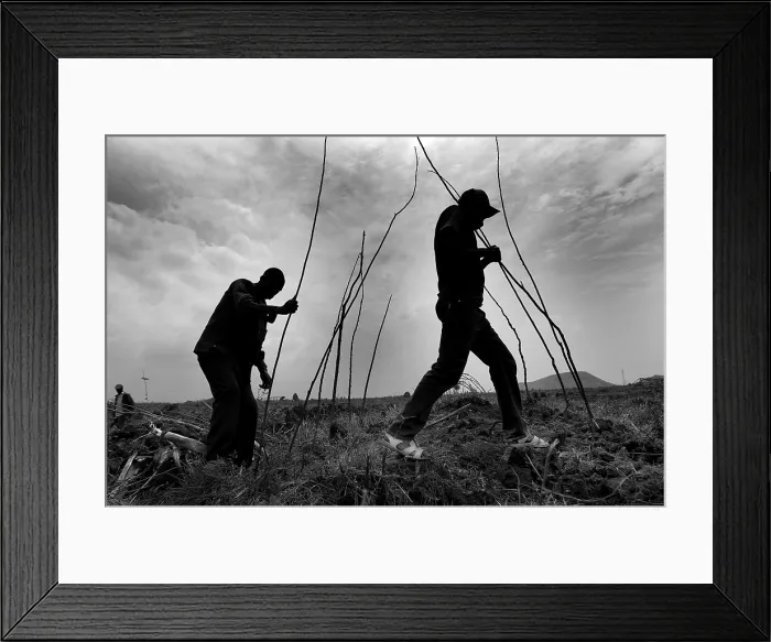 Framed Print : CONGO, Democratic Republic of the. NORTH KIVU. Democratic Republic of the Congo (2008). Kivu Conflict. Refugee camp of Mugunga I (20000 people) in the surroundings of Goma Framed Print : CONGO, Democratic Republic of the. NORTH KIVU. Democratic Republic of the Congo (2008). Kivu Conflict. Refugee camp of Mugunga I (20000 people) in the surroundings of Goma